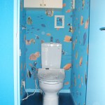 濃い青のトイレが無かったので、薄い水色のトイレです。壁紙の青より少し明るめの青で木目を塗りました。魚の壁紙で、賑やかな楽しいトイレに・・・